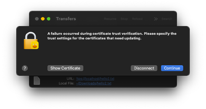 Certificate Trust Verification